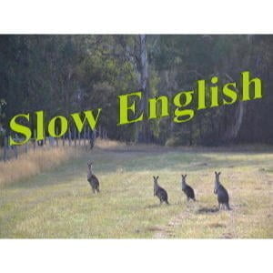 Slow English