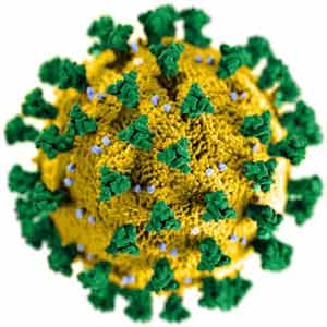 Coronavirus Australia Update