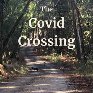 The Covid Crossing