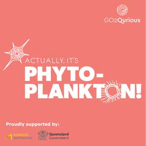 Actually, It's Phytoplankton!