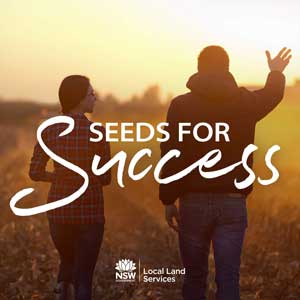 Seeds For Success