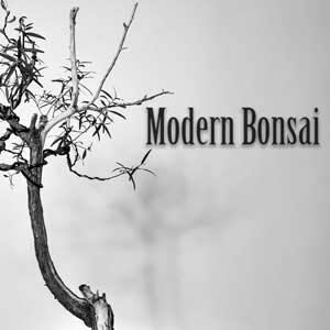 Modern Bonsai
