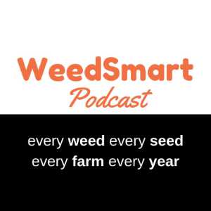 WeedSmart Podcast