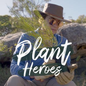 Plant Heroes Podcast