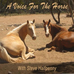 A Voice For The Horse