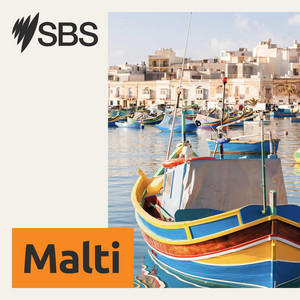 SBS Maltese