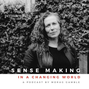 Sense-Making In A Changing World