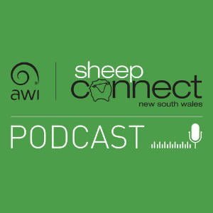 Sheep Connect NSW Podcast