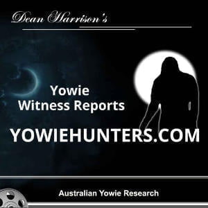 Yowiehunters Witness Reports