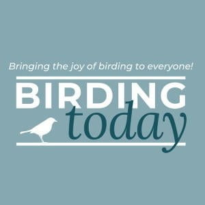 The Birding Today Podcast