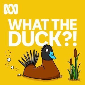 What The Duck?!