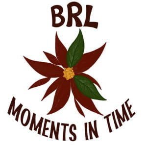 BRL - Moments In Time