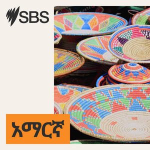 SBS Amharic