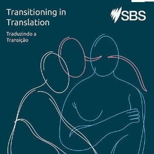 Transitioning In Translation - Traduzindo a transição