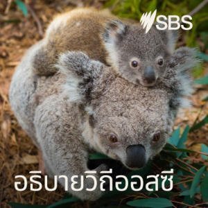 Australia Explained Thai