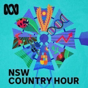 New South Wales Country Hour