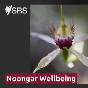 Noongar Wellbeing