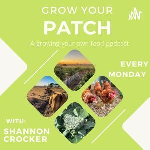 Grow Your Patch