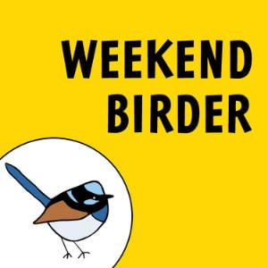 Weekend Birder