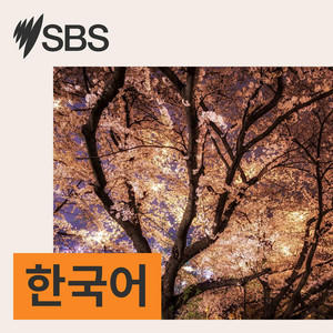 SBS Korean