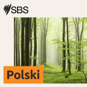 SBS Polish