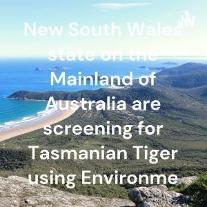 Tasmanian Tiger Mainland Australia -2023.