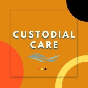 Custodial Care By Ella Noah Bancroft And Kirilly Dawn