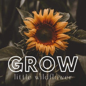 Grow Little Wildflower