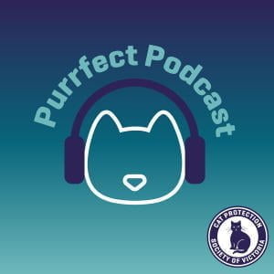 Purrfect Podcast