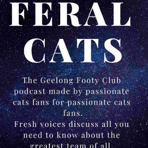 Feral Cats-Geelong
