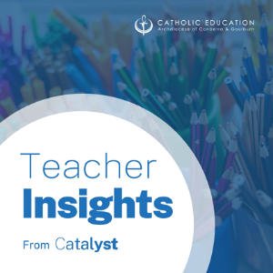 Teacher Insights From Catalyst