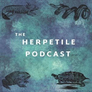 The Herpetile Podcast