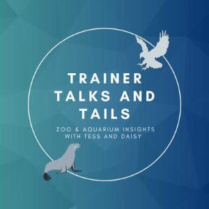 Trainer Talks And Tails