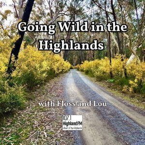 Going Wild In The Highlands