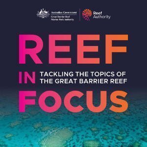 Reef In Focus