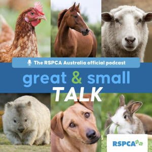 RSPCA Australia's Great & Small Talk