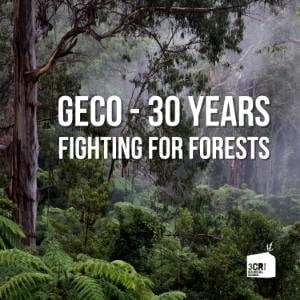 GECO - 30 Years Fighting For Forests