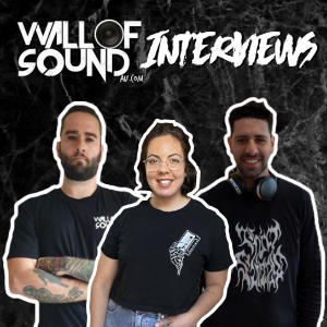 Wall Of Sound: Interviews
