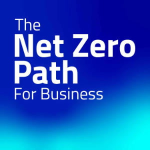 The Net Zero Path For Business