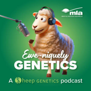 Ewe-niquely Genetics, A Podcast By Sheep Genetics